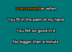 I can remember when
You fut in the palm of my hand

You felt so good in it

No bigger than a minute