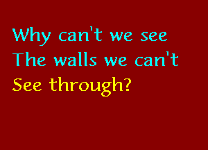 Why can't we see
The walls we can't

See through?