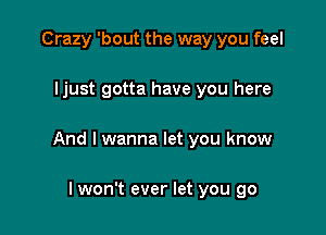 Crazy 'bout the way you feel

ljust gotta have you here

And I wanna let you know

lwon't ever let you go