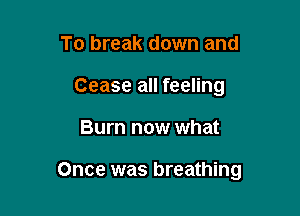 To break down and
Cease all feeling

Burn now what

Once was breathing