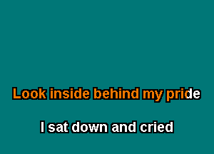 Look inside behind my pride

I sat down and cried