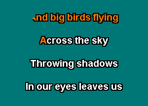 and big birds flying

Across the sky
Throwing shadows

In our eyes leaves us