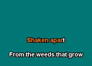 Shaken apart

From the weeds that grow