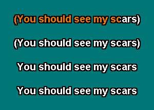 (You should see my scars)
(You should see my scars)

You should see my scars

You should see my scars