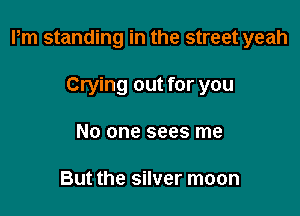 Pm standing in the street yeah

Crying out for you
No one sees me

But the silver moon