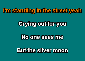 Pm standing in the street yeah

Crying out for you
No one sees me

But the silver moon