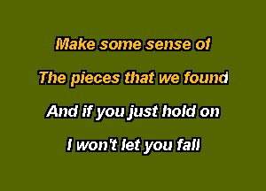 Make some sense of
The pieces that we found

And if you just hold on

I won? let you fall