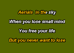 Aeriais in the sky
When you lose small mind

You free your life

But you never want to lose