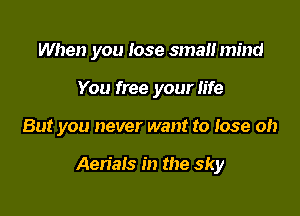 When you lose small mind

You free your life

But you never want to rose oh

AeriaIS in the sky