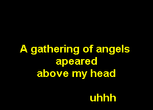 A gathering of angels

apeared
above my head

uhhh