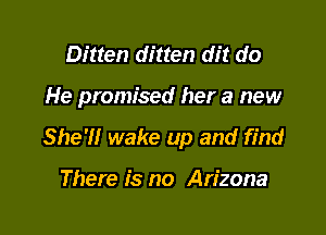 Bitten ditten dit do

He promised her a new

She'll wake up and find

There is no Arizona