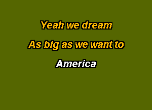 Yeah we dream

As big as we want to

America