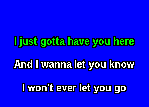 Ijust gotta have you here

And I wanna let you know

lwon't ever let you go