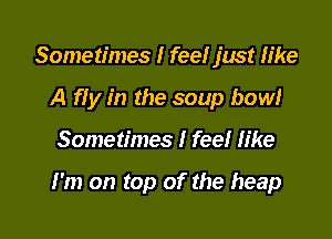 Sometimes I feel just like
A fly in the soup bow!

Sometimes I feel like

I'm on top of the heap