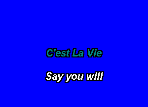 Say you will