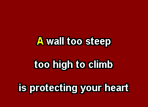 A wall too steep

too high to climb

is protecting your heart