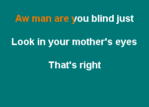 Aw man are you blind just

Look in your mother's eyes

That's right