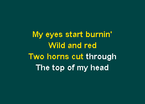 My eyes start burnin'
Wild and red

Two horns cut through
The top of my head