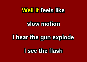 Well it feels like

slow motion

I hear the gun explode

I see the flash