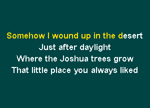 Somehow I wound up in the desert
Just after daylight

Where the Joshua trees grow
That little place you always liked