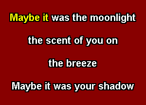 Maybe it was the moonlight

the scent of you on
the breeze

Maybe it was your shadow