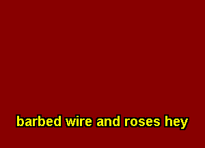 barbed wire and roses hey