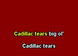 Cadillac tears big ol'

Cadillac tears