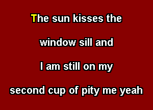 The sun kisses the
window sill and

I am still on my

second cup of pity me yeah