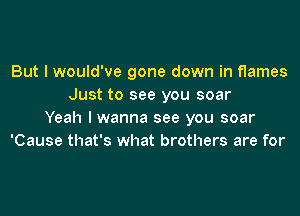 But I would've gone down in flames
Just to see you soar
Yeah lwanna see you soar
'Cause that's what brothers are for