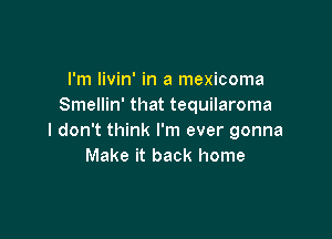 I'm livin' in a mexicoma
Smellin' that tequilaroma

I don't think I'm ever gonna
Make it back home