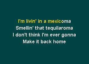 I'm livin' in a mexicoma
Smellin' that tequilaroma

I don't think I'm ever gonna
Make it back home