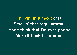 I'm livin' in a mexicoma
Smellin' that tequilaroma

I don't think that I'm ever gonna
Make it back ho-o-ome