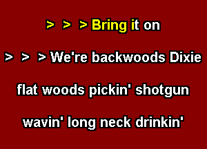 r) '5' Bring it on

We're backwoods Dixie

flat woods pickin' shotgun

wavin' long neck drinkin'