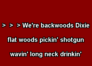 We're backwoods Dixie

flat woods pickin' shotgun

wavin' long neck drinkin'