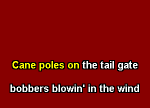 Cane poles on the tail gate

bobbers blowin' in the wind