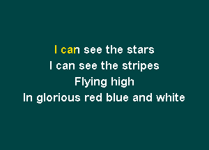 I can see the stars
I can see the stripes

Flying high
In glorious red blue and white