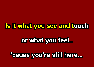 Is it what you see and touch

or what you feel..

'cause you're still here...