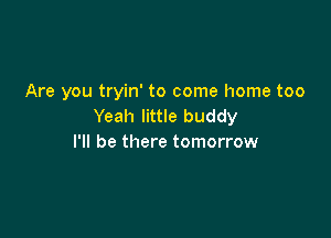 Are you tryin' to come home too
Yeah little buddy

I'll be there tomorrow