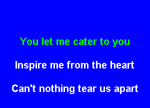 You let me cater to you

Inspire me from the heart

Can't nothing tear us apart