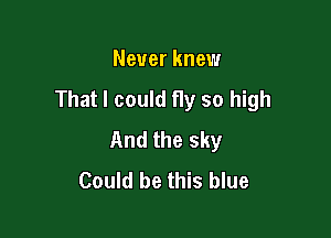 Never knew

That I could fly so high

And the sky
Could be this blue