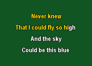 Never knew

That I could fly so high

And the sky
Could be this blue