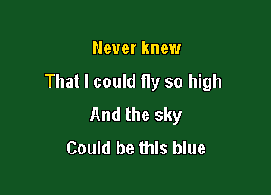 Never knew
That I could fly so high

And the sky
Could be this blue