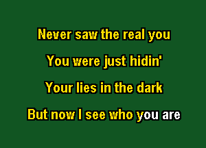 Never saw the real you
You were just hidin'

Your lies in the dark

But now I see who you are