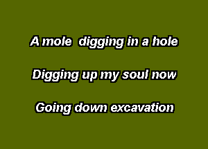 A mole digging in a hole

Digging up my soul now

Going down excavation