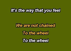 IFS the way that you fee!

We are not chained
To the wheel
To the wheel