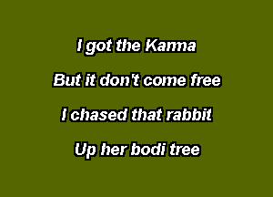 I got the Karma
But it don't come free

I chased that rabbit

Up her bodi tree