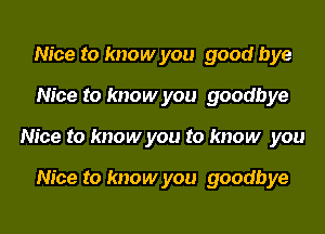 Nice to know you good bye
Nice to know you goodbye
Nice to know you to know you

Nice to know you goodbye