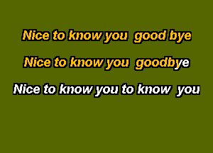 Nice to know you good bye

Nice to know you goodbye

Nice to know you to know you