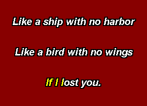 Like a ship with no harbor

Like a bird with no wings

If I lost you.