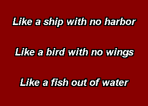 Like a ship with no harbor

Like a bird with no wings

Like a fish out of water